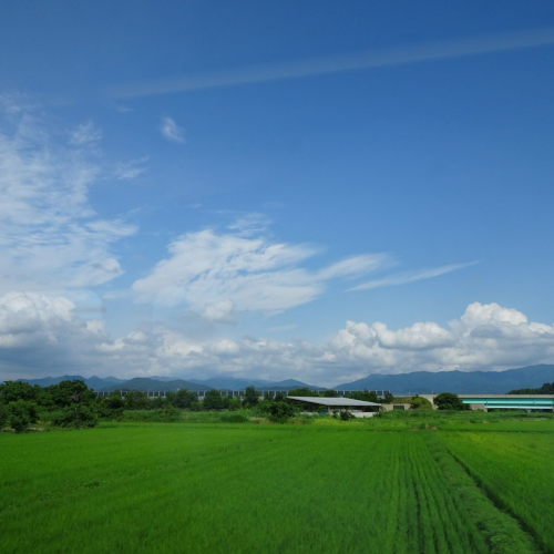 "この風景の重要な構成員である稲や野菜たちは、いうまでもなくわたしたちの食卓にのぼり口に運ばれるのだが、その美味しさや安全性を長年追求してきた人々がいる。「庄内植酸会」の皆さんだ。 　「植酸農法と出会ってから、もう３０年以上になりますかね」。"